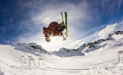 开云官方_东契奇独揽38分三双仍难挽败局，单核带队的无解题与攻防失衡的建队迷思