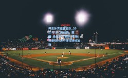 开云体育运营团队_2025年UFC激战夜，亚娜·桑托斯与米莎·塔特羽量级对决引爆拉斯维加斯