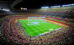 开云赛事集团-德甲级严密防护，樊振东赛后获半步不离随行安保，体育安全新标杆引关注